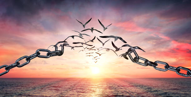 ما کی هستیم؟ ۳۴ ازلی و ابدی