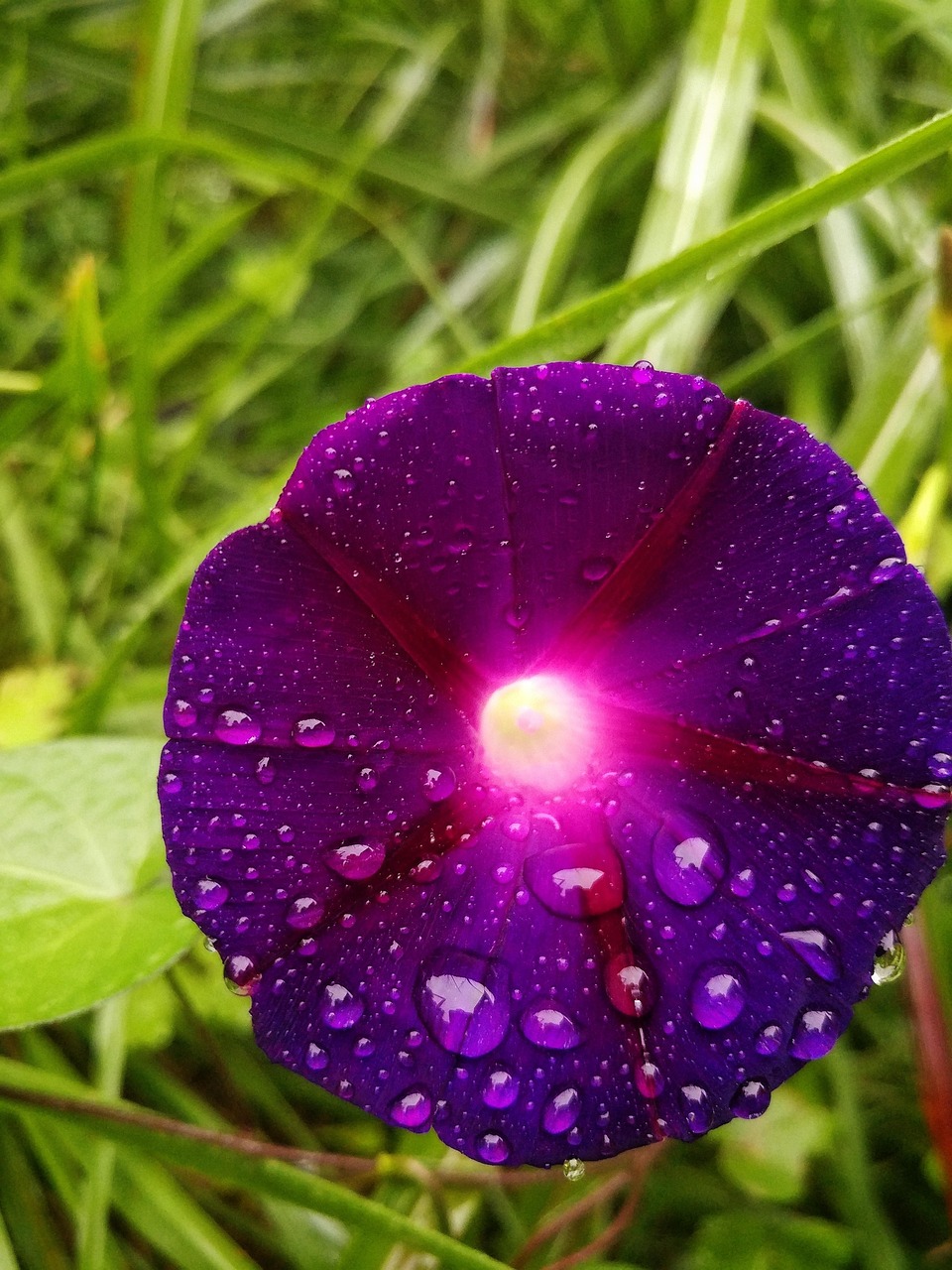 تفسیر و بررسی مزمور ۳۳ امیدوار در خداوند ( بخش سوم) 